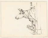 jean-bernard-1817-testa-di-mucca-sinistra-stampa d'arte-riproduzione-fine-arte-id-a884njokw