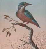 芭芭拉-雷吉娜-迪茨施-1716-kingfisher-藝術印刷-美術複製品-牆藝術-id-a8bbh8oxw