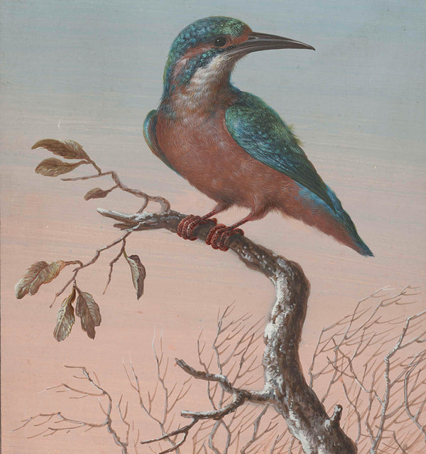barbara-regina-dietzsch-1716-kingfisher-art-print-fine-art-reproduction-wall-art-id-a8bbh8oxw