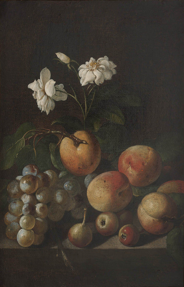 unknown-17th-century-still-life-with-fruit-and-white-roses-art-print-fine-art-reproduction-wall-art-id-a8fb7svk2