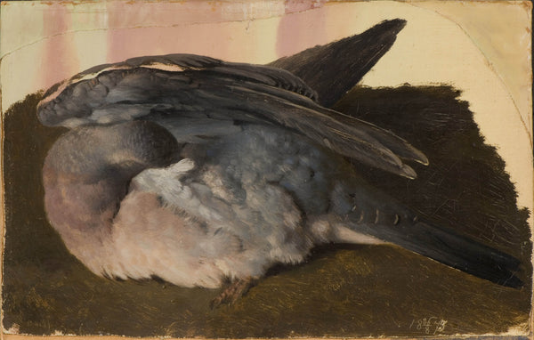 ferdinand-von-wright-1873-study-of-sleeping-wood-pigeon-art-print-fine-art-reproduction-wall-art-id-a8xsbgren