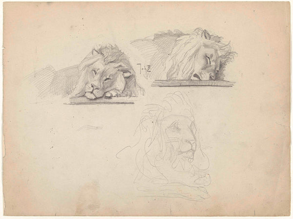 johan-braakensiek-1868-three-studies-of-a-lion-art-print-fine-art-reproduction-wall-art-id-a8yrk7ftj