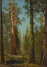 阿爾伯特·比爾施塔特-1873-灰熊巨人-紅杉-馬里波薩-格羅夫-加利福尼亞-藝術印刷-精美藝術複製品-牆藝術-id-a8yud1onn
