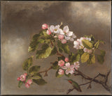 马丁·约翰逊·海德1875年-蜂鸟和苹果花的艺术印刷精美的艺术复制品墙上的艺术编号a94blxykt