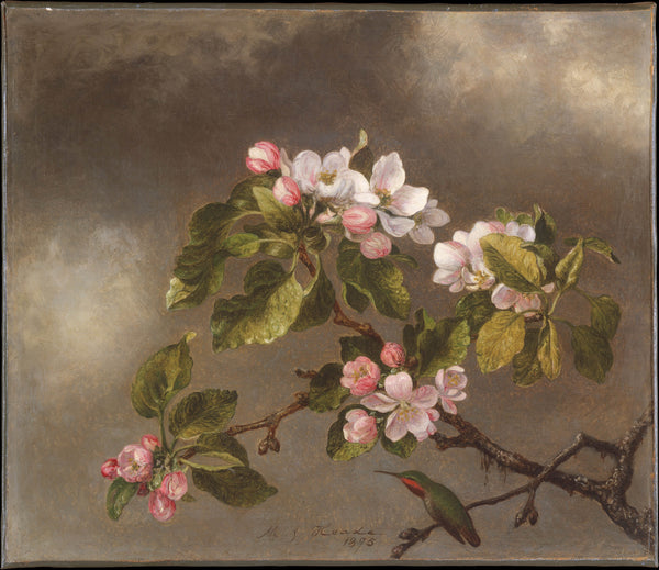 martin-johnson-heade-1875-hummingbird-and-apple-blossoms-art-print-fine-art-reproduction-wall-art-id-a94blxykt