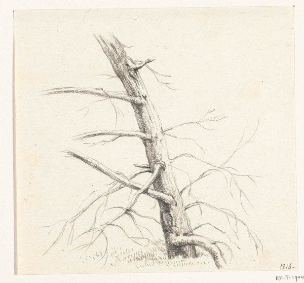 jean-bernard-1816-study-of-a-tree-art-print-fine-art-reproduction-wall-art-id-a9fehrk5j