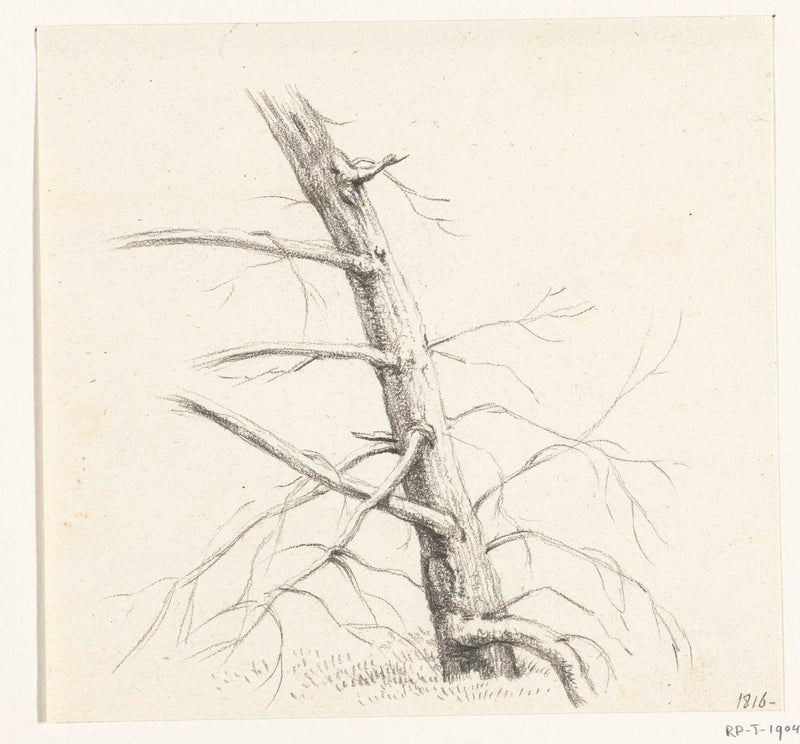 jean-bernard-1816-study-of-a-tree-art-print-fine-art-reproduction-wall-art-id-a9fehrk5j