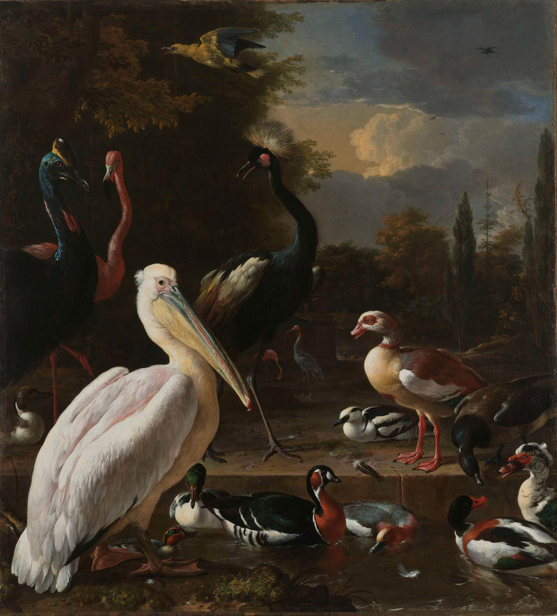 melchior-d-hondecoeter-1680-a-pelican-and-other-birds-near-a-pool-known-as-the-art-print-fine-art-reproduction-wall-art-id-a9idvqtjc