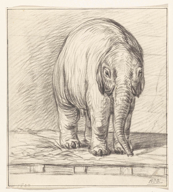 jean-bernard-1800-standing-elephant-art-print-fine-art-reproduction-wall-art-id-a9yvu9evn