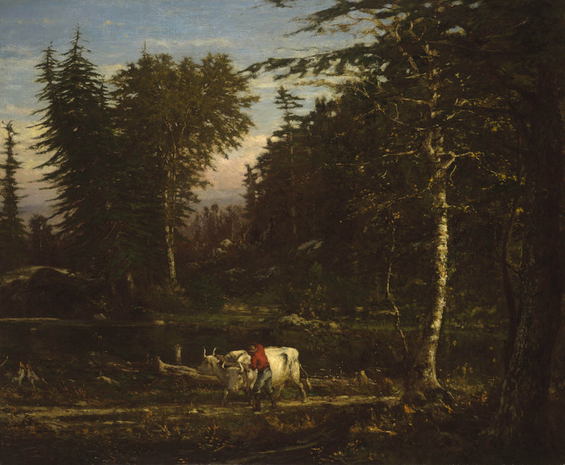 george-inness-1862-in-the-adirondacks-art-print-fine-art-reproduction-wall-art-id-aa80fm8ao