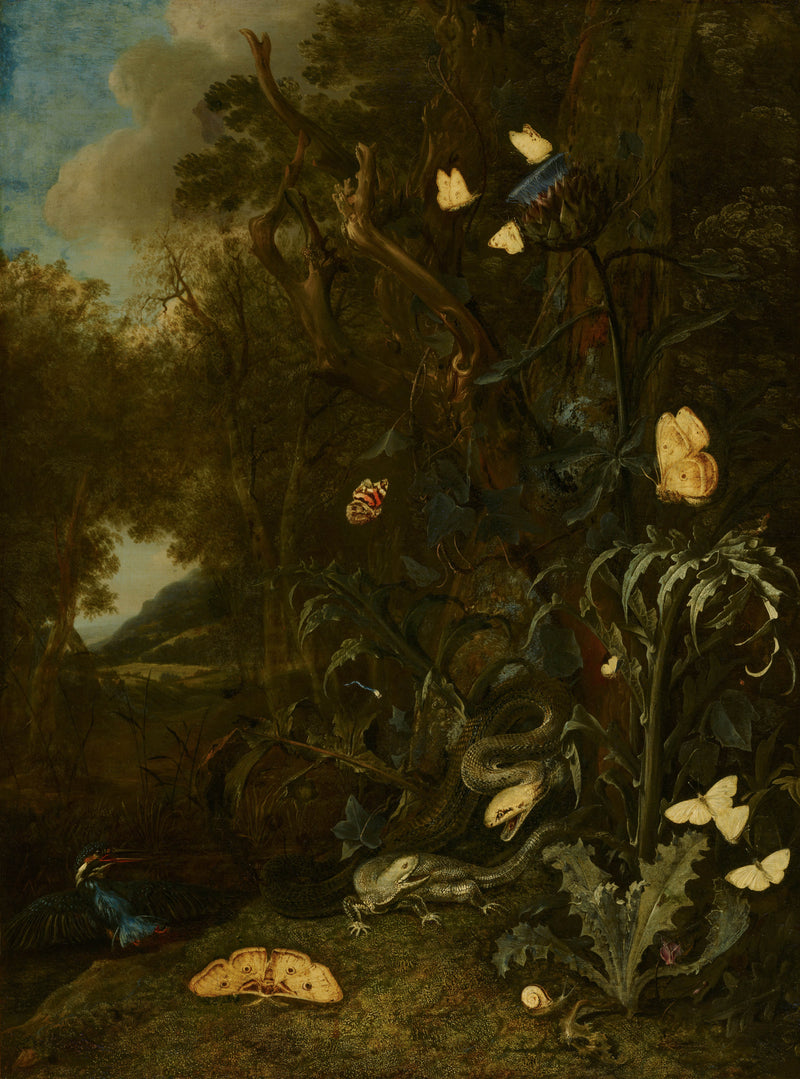 otto-marseus-van-schrieck-1665-plants-and-insects-art-print-fine-art-reproduction-wall-art-id-aadxuv0ef