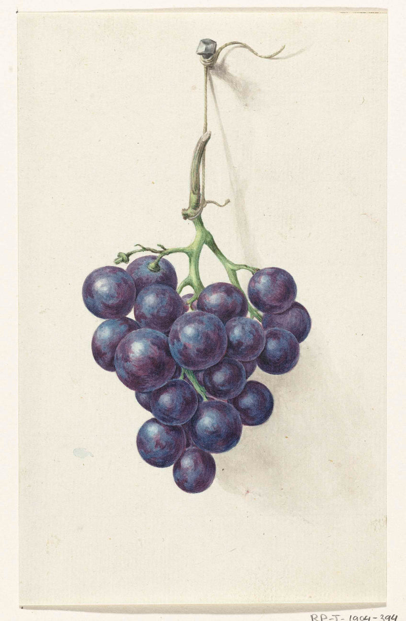 jean-bernard-1775-bunch-of-blue-grapes-art-print-fine-art-reproduction-wall-art-id-aavamh278