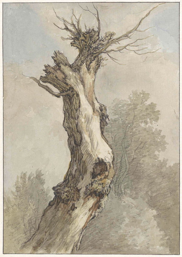 a-e-g-roelofs-1808-study-of-a-tree-art-print-fine-art-reproduction-wall-art-id-abfnomc7m