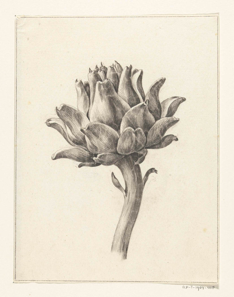 jean-bernard-1775-artichoke-art-print-fine-art-reproduction-wall-art-id-abrqj7zyl