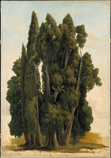 Gustaf-Wilhelm-palm-1843-sypresser-studie-art-print-fine-art-gjengivelse-vegg-art-id-abvdqd24v