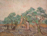 Vincent-van-gogh-1889-oliwny-sad-druk-sztuka-reprodukcja-dzieł sztuki-sztuka-ścienna-id-ac1vfbay7