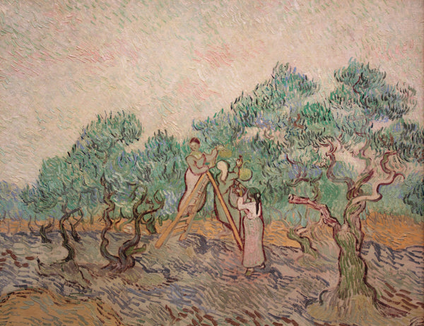 vincent-van-gogh-1889-the-olive-orchard-art-print-fine-art-reproduction-wall-art-id-ac1vfbay7