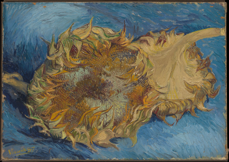 vincent-van-gogh-1887-sunflowers-art-print-fine-art-reproduction-wall-art-id-aclvcq3rk