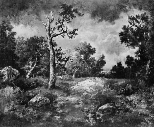 narcisse-virgile-diaz-de-la-pena-1872-the-edge-of-the-woods-art-print-fine-art-reproduction-wall-art-id-acokmuu76