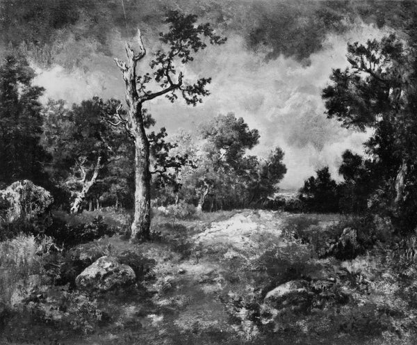 narcisse-virgile-diaz-de-la-pena-1872-the-edge-of-the-woods-art-print-fine-art-reproduction-wall-art-id-acokmuu76