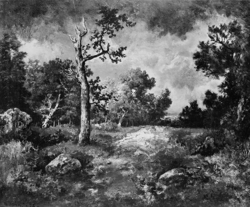 narcisse-virgile-diaz-de-la-pena-1872-the-edge-of-the-woods-art-print-fine-art-reproduction-wall-art-id-acokmuu76