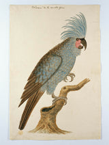 nepoznato-1780-plavi-papagaj-sa-grbom-umjetničkim-otiskom-fine-umjetničke-reprodukcije-zidne-umjetničke-id-ada4mmcne