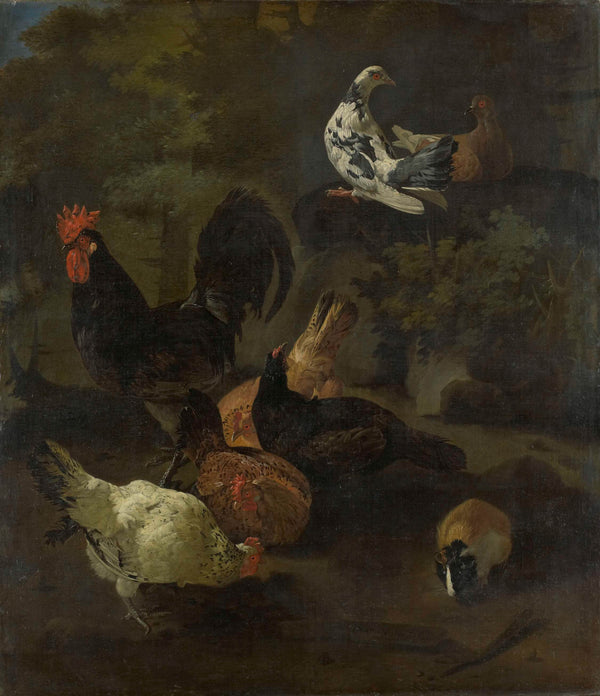 jacomo-victors-1674-a-cock-hens-doves-and-a-marmot-art-print-fine-art-reproduction-wall-art-id-addq8tvi9