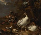 melchior-d-hondecoeter-1680-אווזים- and-ducks-art-print-art-art-reproduction-wall-art-id-adlob8z16