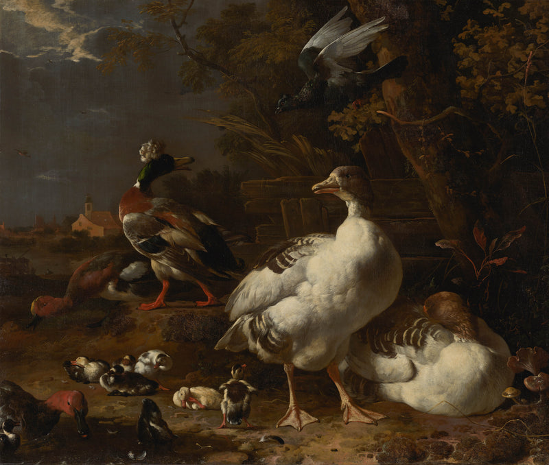 melchior-d-hondecoeter-1680-geese-and-ducks-art-print-fine-art-reproduction-wall-art-id-adlob8z16