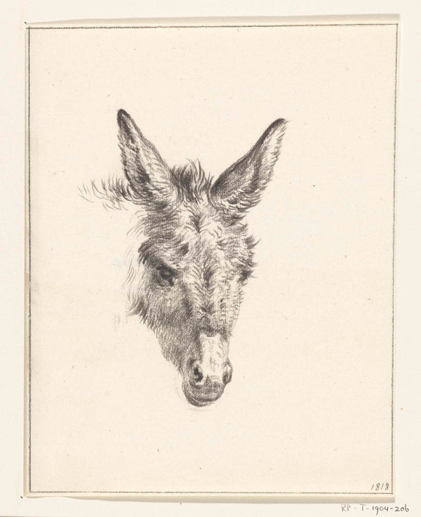 jean-bernard-1818-head-of-a-donkey-from-the-front-art-print-fine-art-reproduction-wall-art-id-advb4bisb