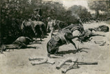 frederic-remington-1899-hur-hästarna-dö-för-sitt-land-på-santiago-konsttryck-finkonst-reproduktion-väggkonst-id-ady1di884