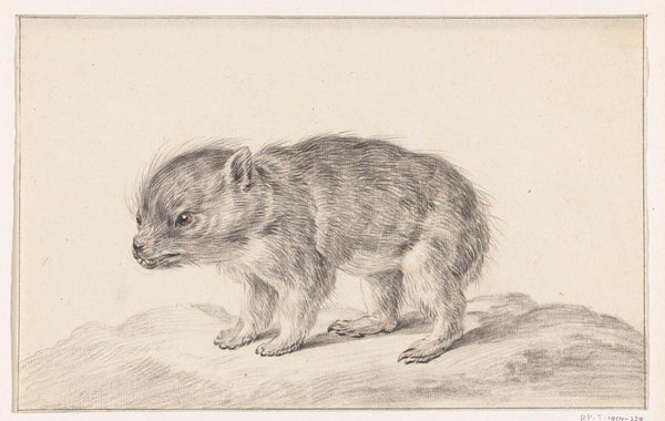 jean-bernard-1775-young-bear-art-print-fine-art-reproduction-wall-art-id-ae0gd204t