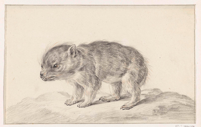 jean-bernard-1775-young-bear-art-print-fine-art-reproduction-wall-art-id-ae0gd204t