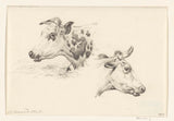 jean-bernard-1825-two-studies-of-the-head-of-a-cow-art-print-fine-art-reproduction-wall-art-id-ae9rx6c62