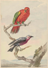 aert-schouman-1720-dve-ptiči-vključno-rdeča-zelena-papiga-umetnostni tisk-fine-art-reproduction-wall-art-id-af1o7ou8c