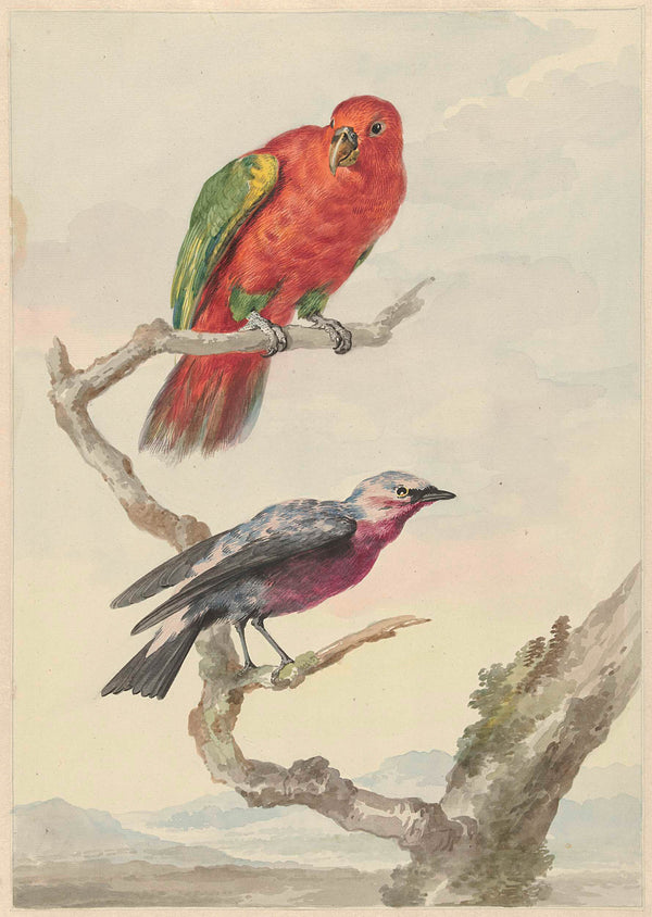 aert-schouman-1720-two-birds-including-red-green-parrot-art-print-fine-art-reproduction-wall-art-id-af1o7ou8c