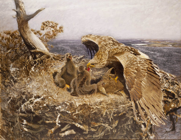 bruno-liljefors-1907-sea-eagles-nest-art-print-fine-art-reproduction-wall-art-id-af9bdge7v