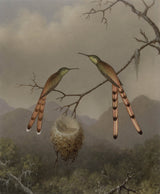 martin-johnson-heade-1865-twee-kolibries-met-hun-jonge-kunstprint-fine-art-reproductie-muurkunst-id-afi2la95h