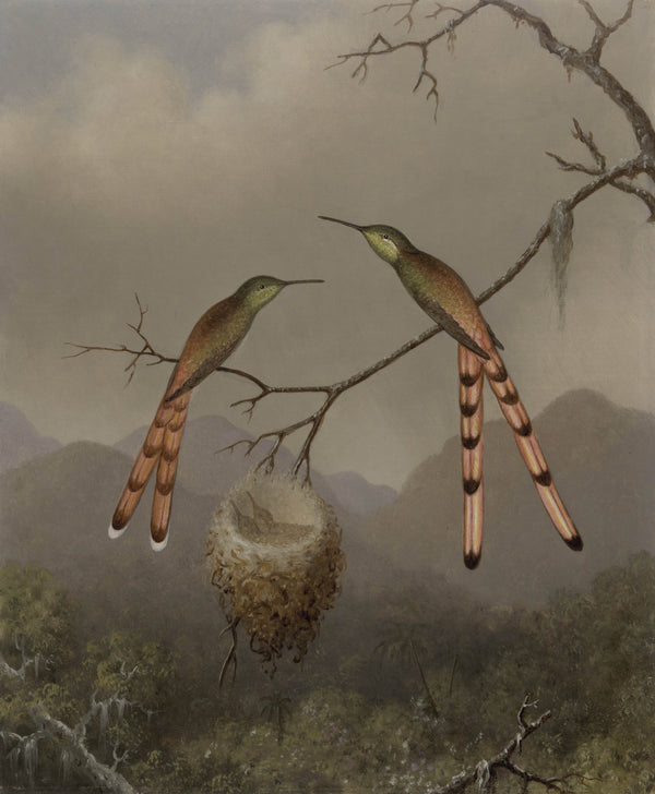 martin-johnson-heade-1865-two-hummingbirds-with-their-young-art-print-fine-art-reproduction-wall-art-id-afi2la95h