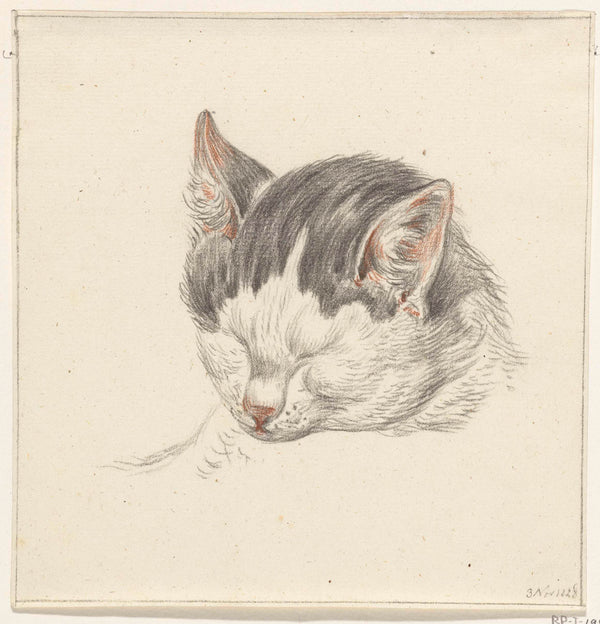 jean-bernard-1828-head-of-a-cat-from-the-front-art-print-fine-art-reproduction-wall-art-id-afm9gujl8