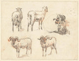 Pieter-gerardus-van-os-1786-скица-лист-со-две-кози-и-три-овни-уметност-принт-фина уметност-репродукција-ѕид-арт-id-afne539cv