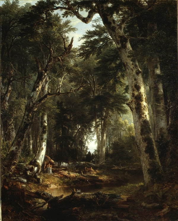 asher-brown-durand-1855-in-the-woods-art-print-fine-art-reproduction-wall-art-id-afp0uqqo4
