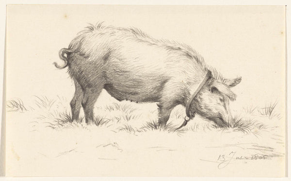 jean-bernard-1805-standing-waterend-pig-right-in-the-grass-art-print-fine-art-reproduction-wall-art-id-afupp5xvu