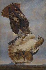 Joseph-Bartholomew-Kidd-1831-Red-tailed-hawk-art-print-reprodukcja-dzieł sztuki-wall-art-id-agf7p13sh