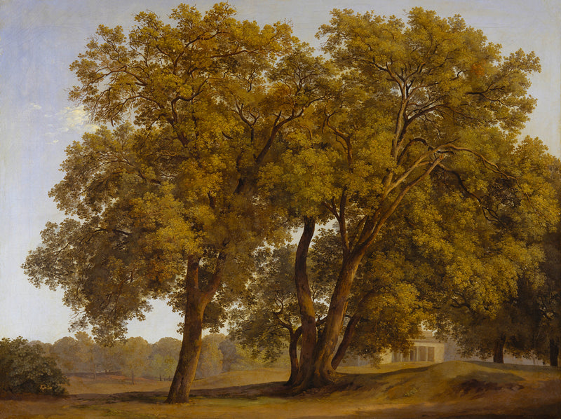 johann-christian-reinhart-1793-view-of-the-gardens-of-the-villa-borghese-art-print-fine-art-reproduction-wall-art-id-aghmfd0d5