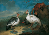 philipp-ferdinand-de-hamilton-1722-guinea-fowl-and-coati-art-print-fine-art-reproduktion-wall-art-id-agkef2ht8