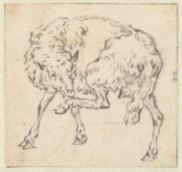 unknown-1632-single-sheep-that-licking-its-paw-art-print-fine-art-reproduction-wall-art-id-agmqo73if