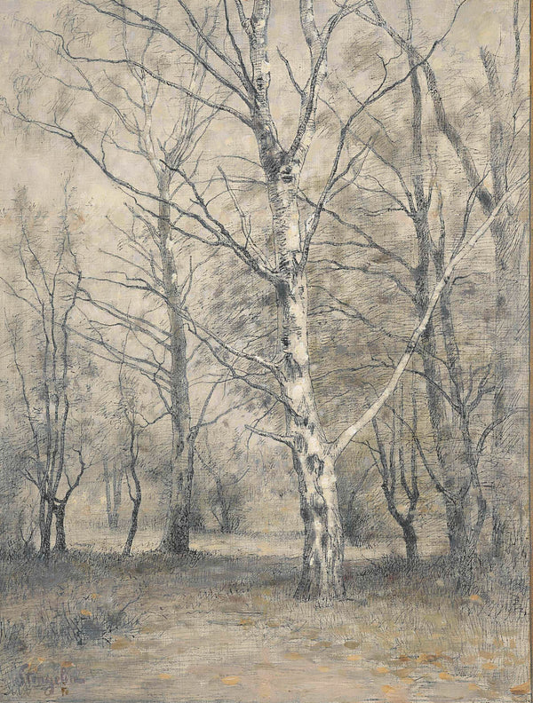 alphonse-stengelin-1875-forest-with-birch-trees-art-print-fine-art-reproduction-wall-art-id-agqdcnwto