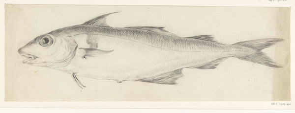 jean-bernard-1775-fish-left-art-print-fine-art-reproduction-wall-art-id-ah3jlghkc