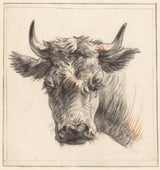pieter-gerardus-van-os-1786-glava-krave-umetnost-tisk-fine-art-reprodukcija-stenska-umetnost-id-ah4cbyglw